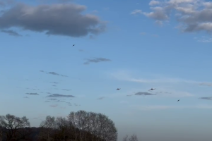 vlcsnap-2025-03-23-12h33m20s282